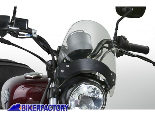 BikerFactory Cupolino parabrezza Flyscreen Mod N2554 002 National cycle Fum%C3%A8 chiaro alt 21 6 cm larg 23 5 cm N2554 002 1044316